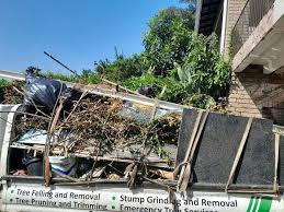 Best Hoarding Cleanup  in Fort Bliss, TX
